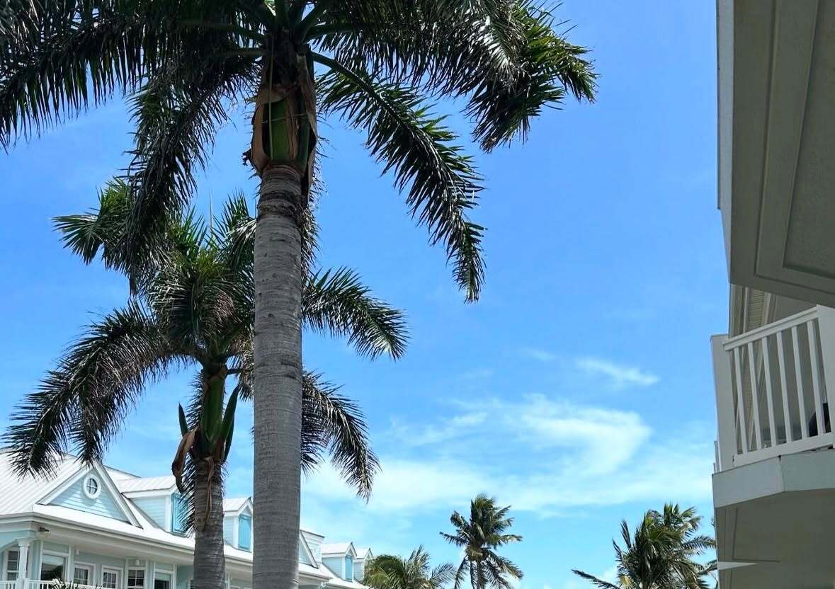 Southern Most Beach Resort