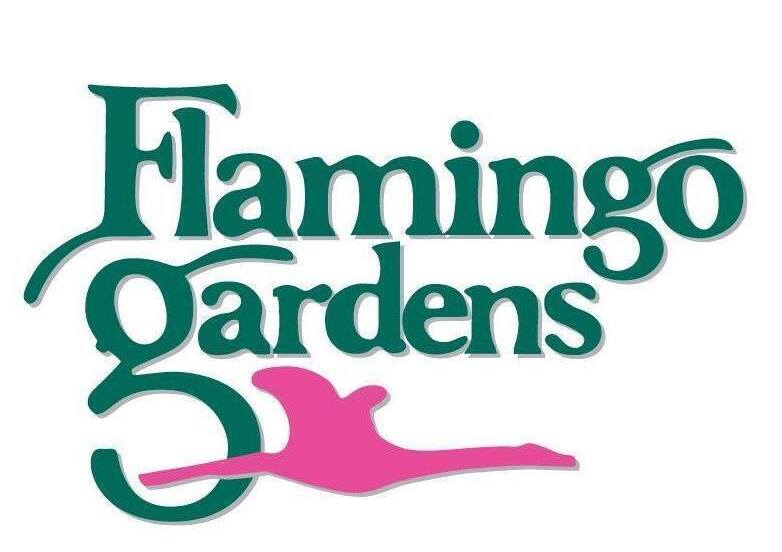 Flamingo Gardens