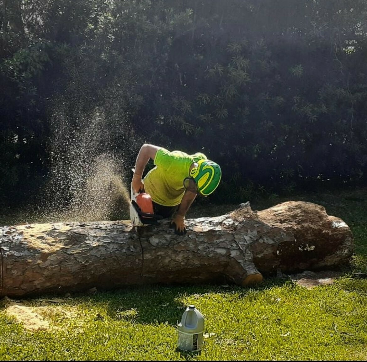 Dan's Tree Service