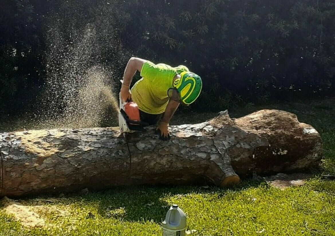 Dan's Tree Service