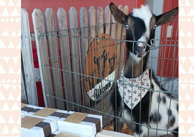 Natural Blessings Goat Milk Soap