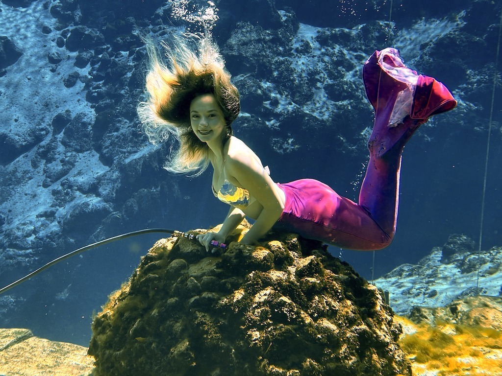 Weeki Wachee Springs State Park