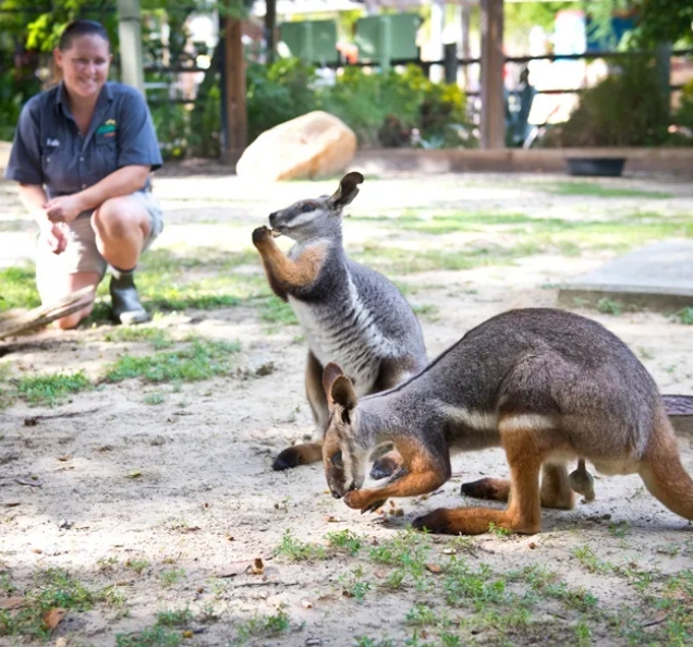ZooTampa at Lowry Park