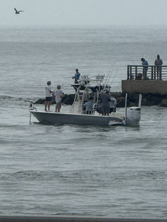 Zookeeper Charters