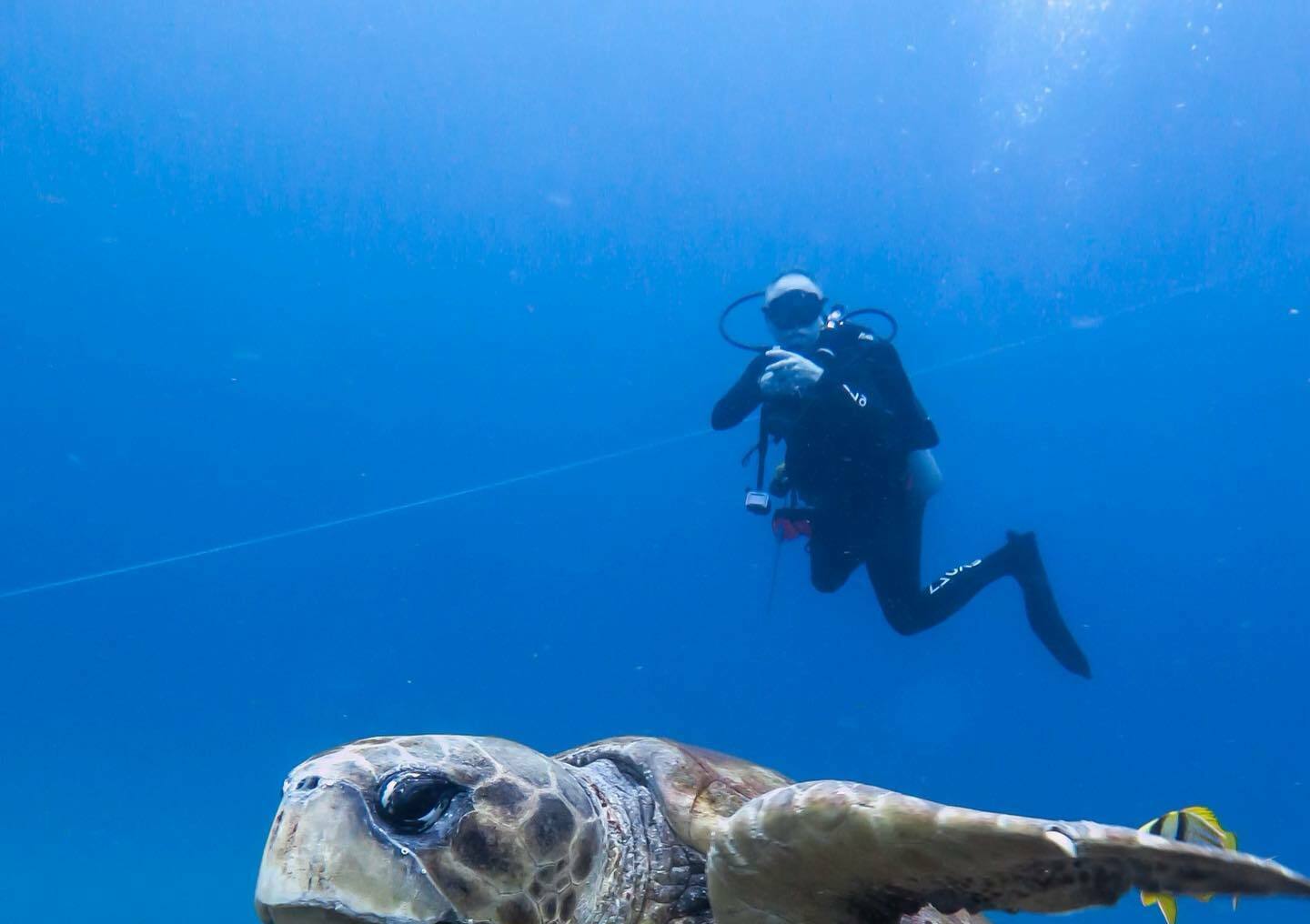 Calypso Dive Charters