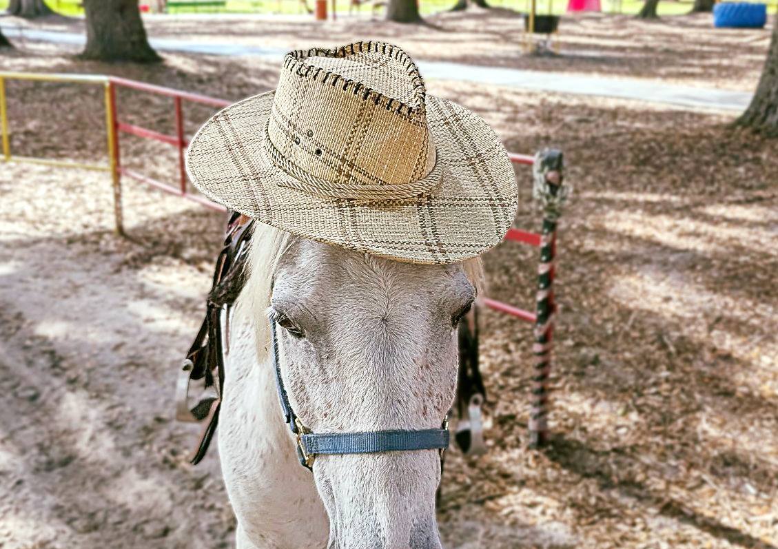 Green Meadows Petting Farm