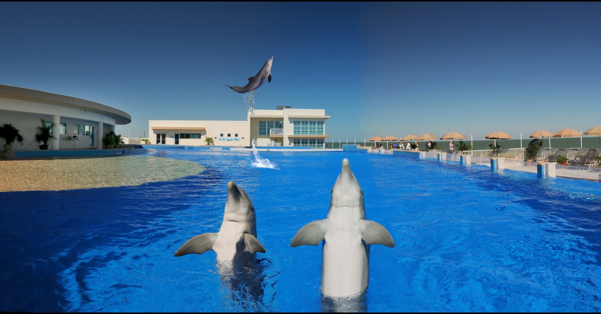 Marineland Dolphin Adventure