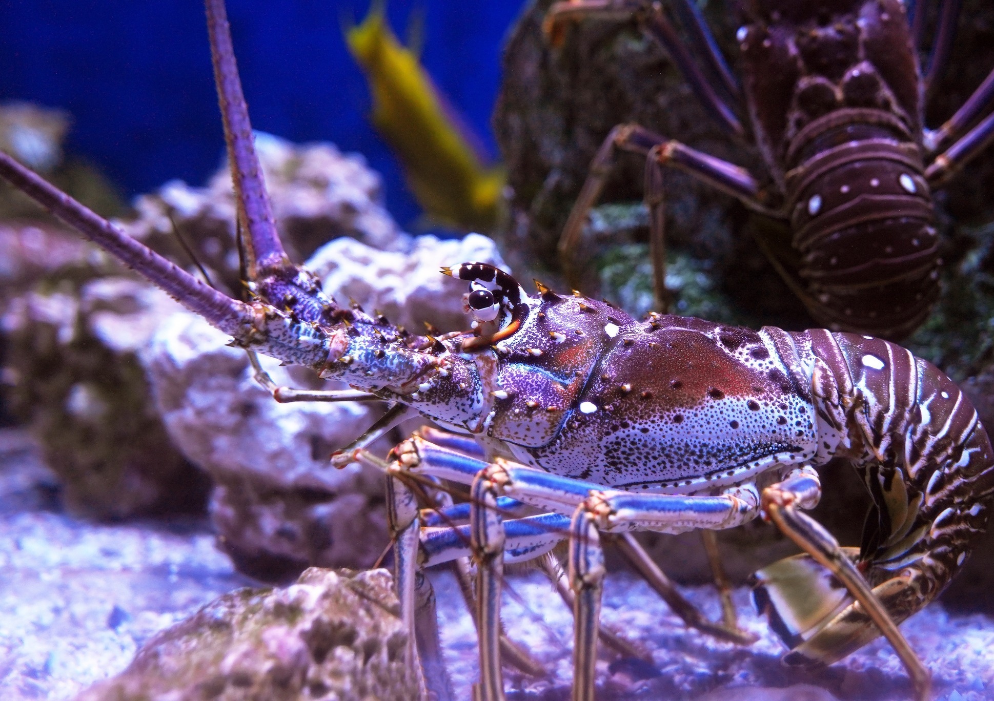 The Florida Aquarium