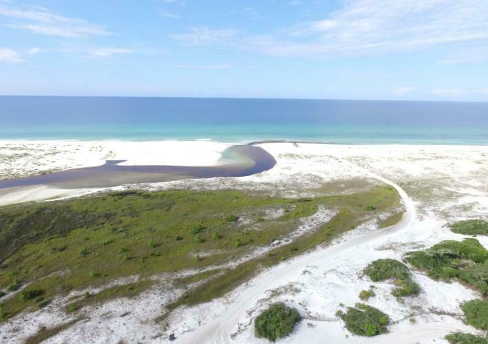 Camp Helen State Park