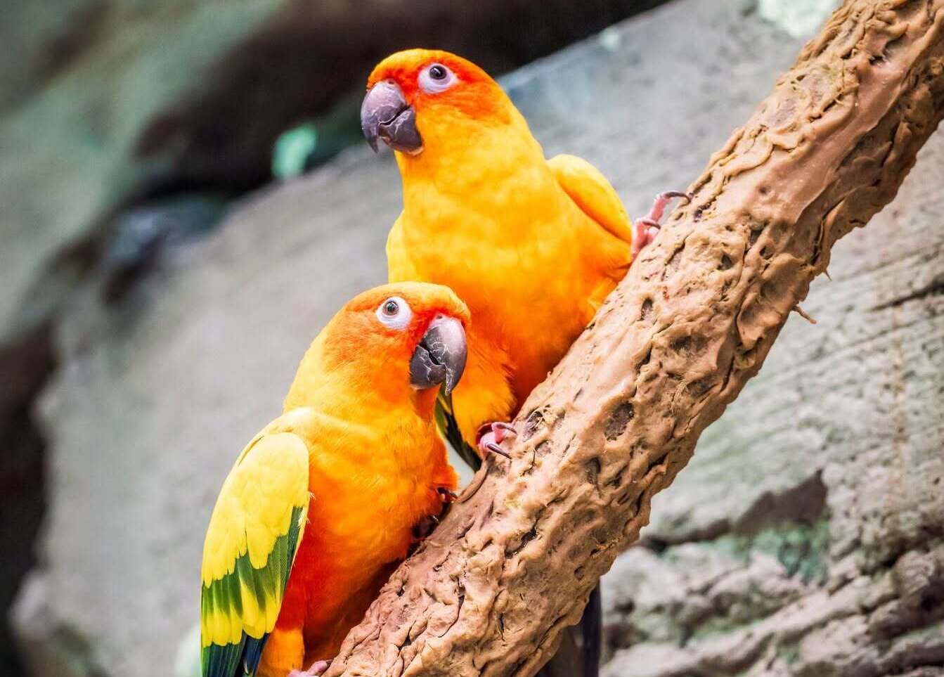 Orlando Science Center