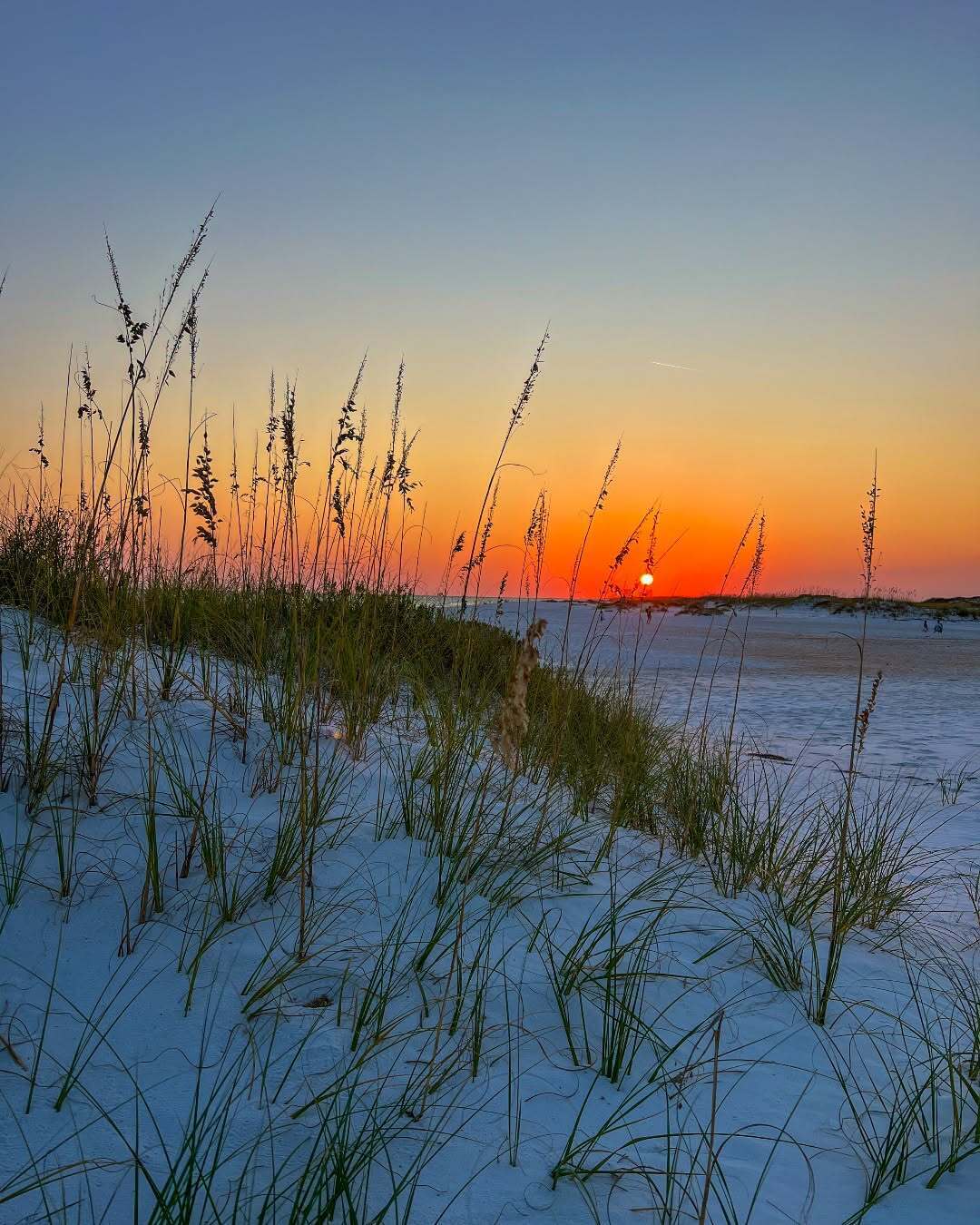 Visit Pensacola