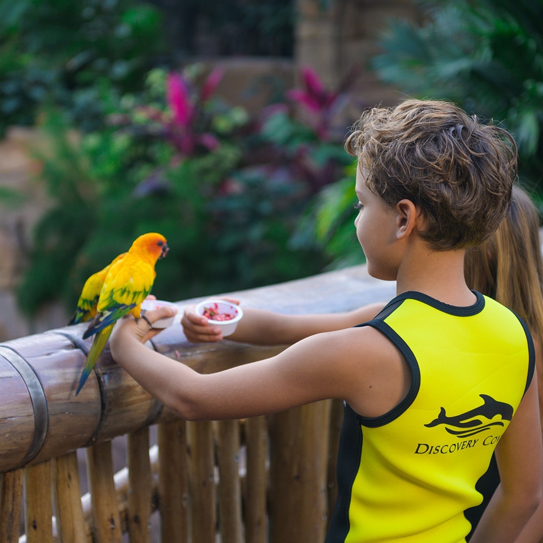 Discovery Cove Orlando