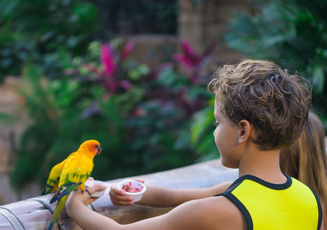 Discovery Cove Orlando