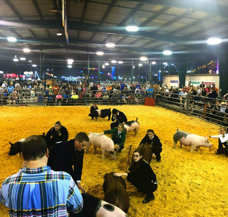 Central FLorida Fair