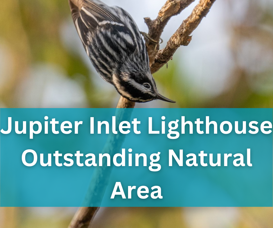 Great Florida Birding Trail