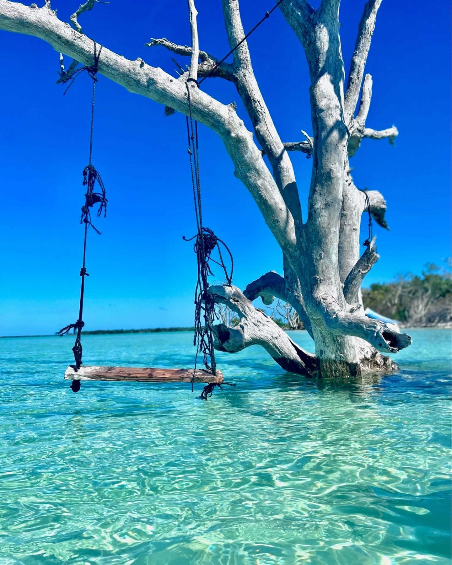 SeaEO Luxury Boat Charters