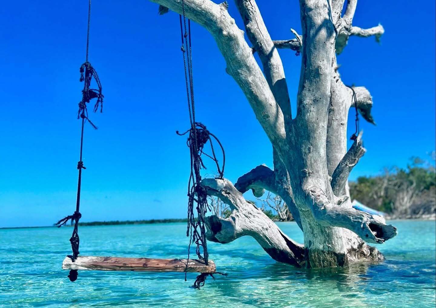 SeaEO Luxury Boat Charters