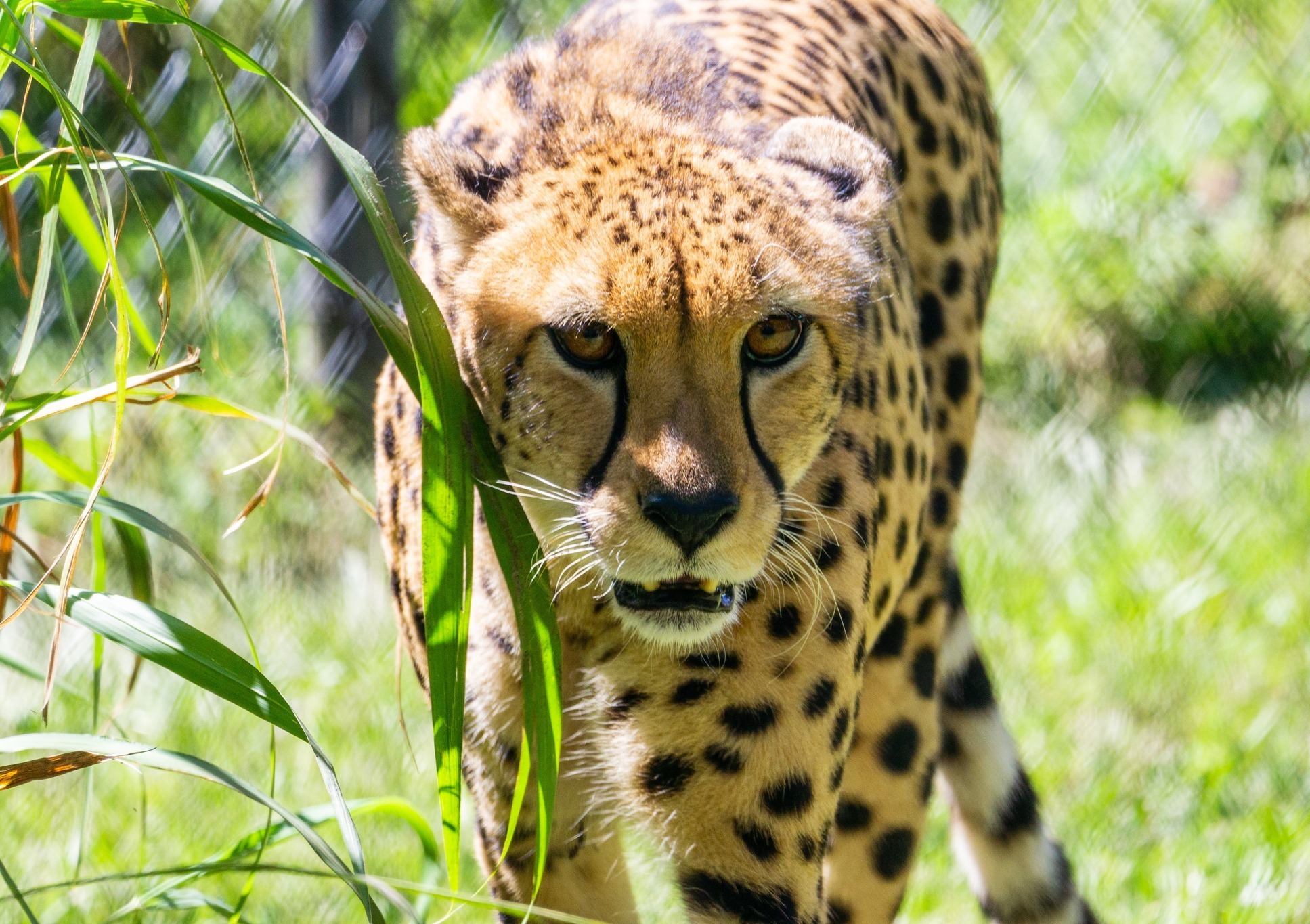 Central Florida Zoo & Botanical Gardens