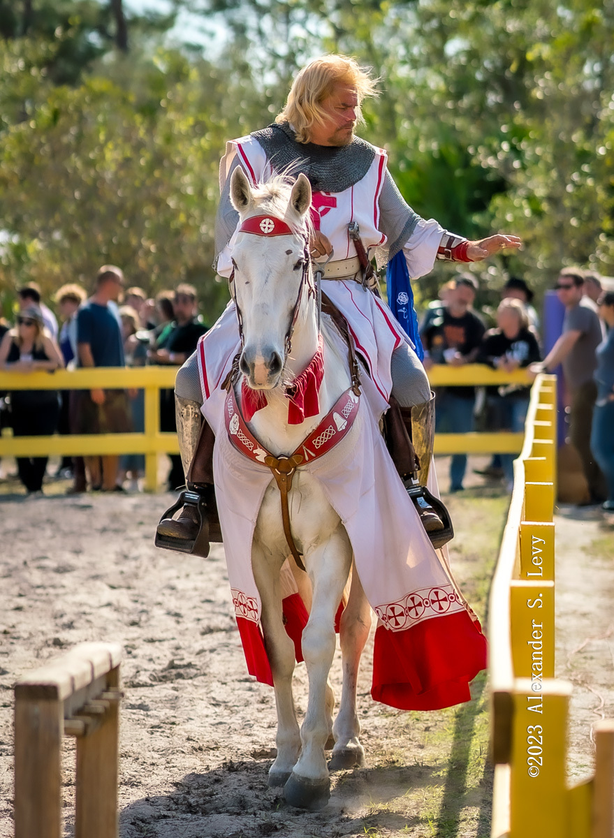 Brevard Renaissance Fair