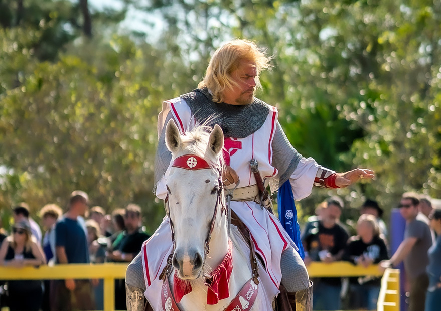 Brevard Renaissance Fair