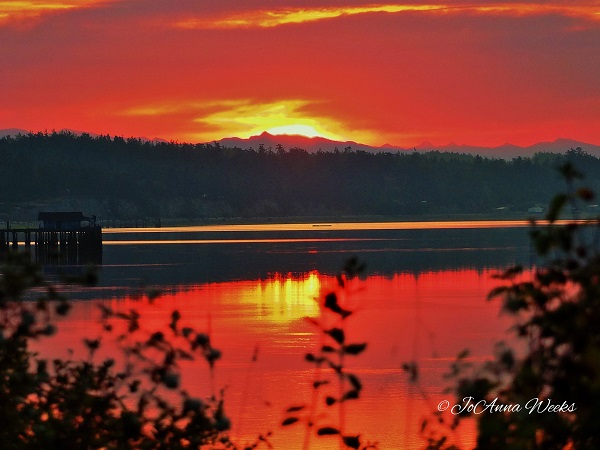 Photography by JoAnna Weeks