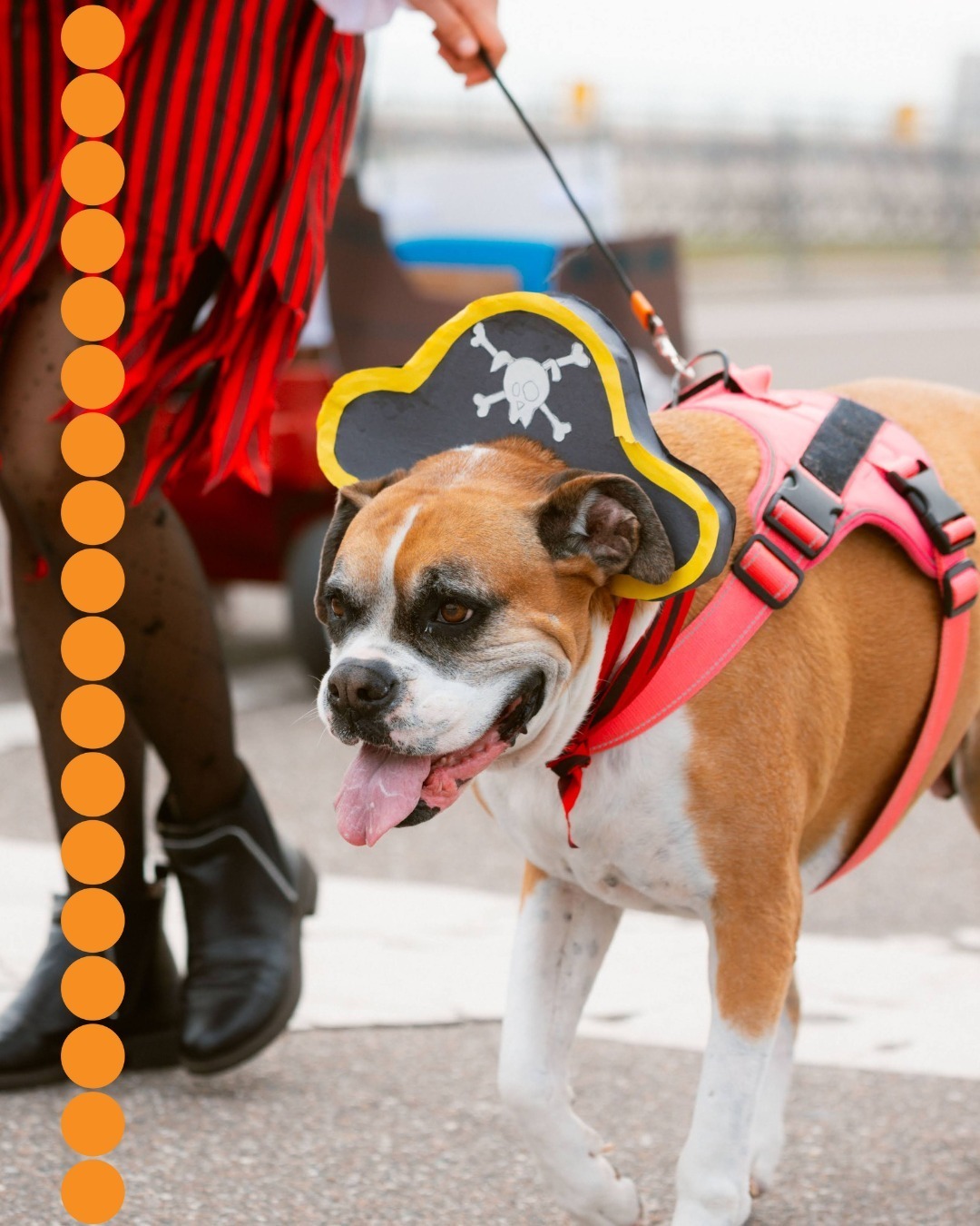 Gasparilla Pirate Fest