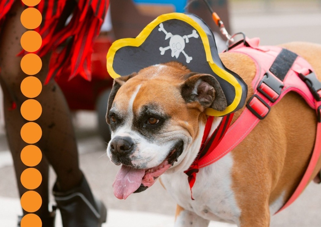 Gasparilla Pirate Fest
