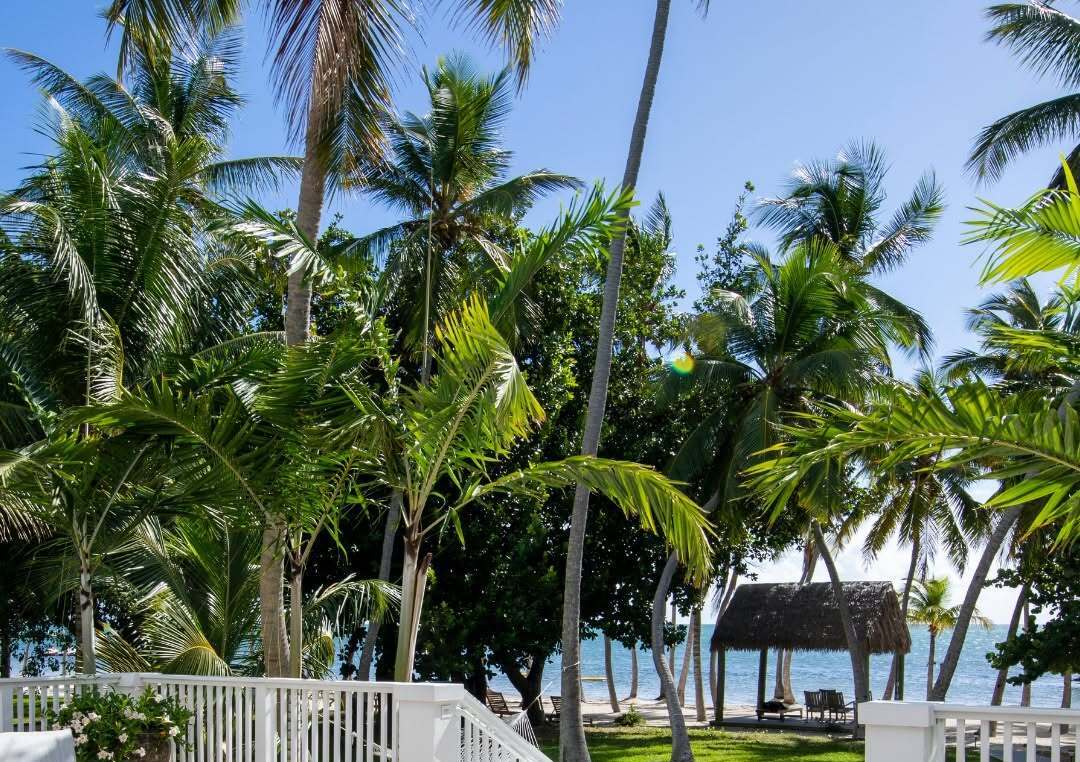 Cheeca Lodge