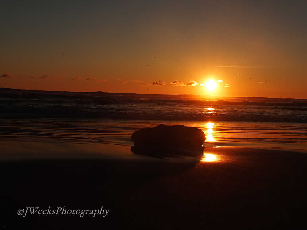 Sunrise Coast Christian Chamber of Commerce | Christian Business Network in Florida