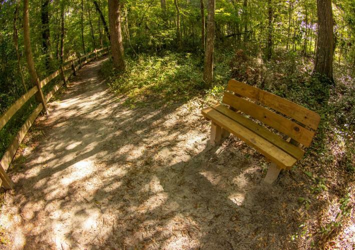 Devils Millhopper Geological State Park