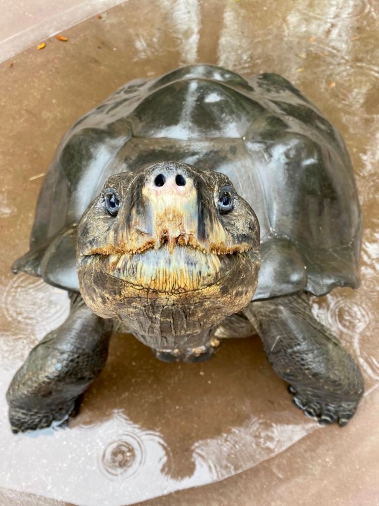 ZooTampa at Lowry Park