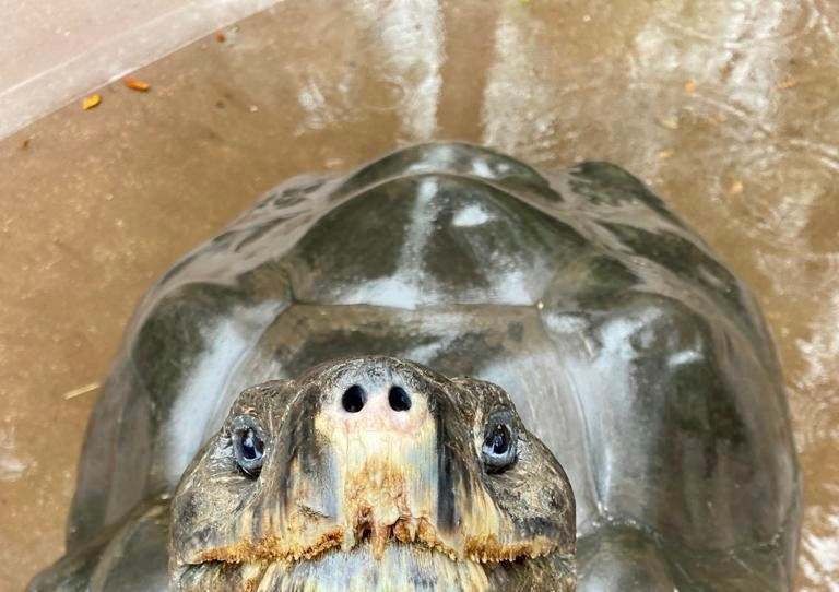 ZooTampa at Lowry Park