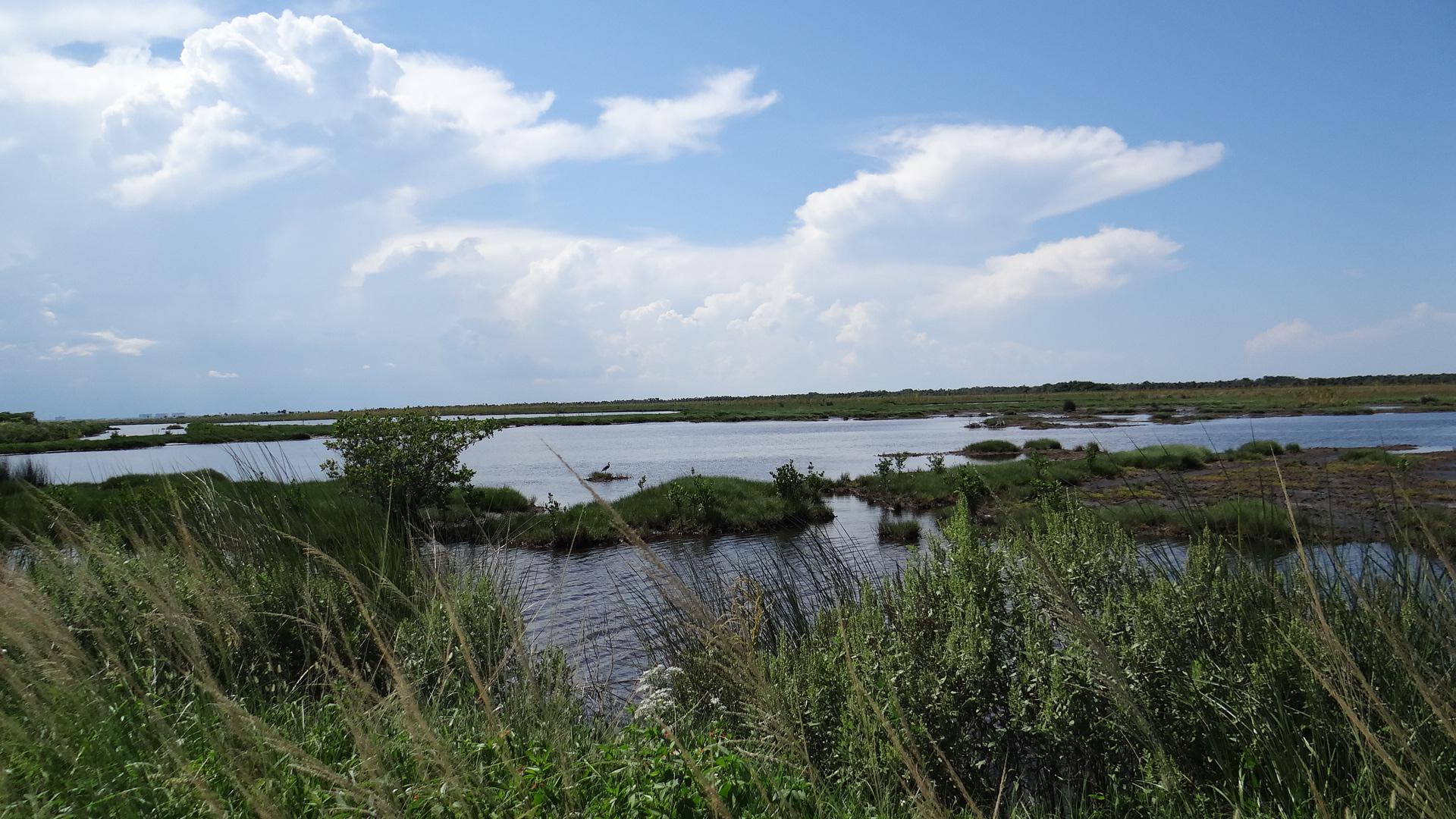 Canaveral National Seashore