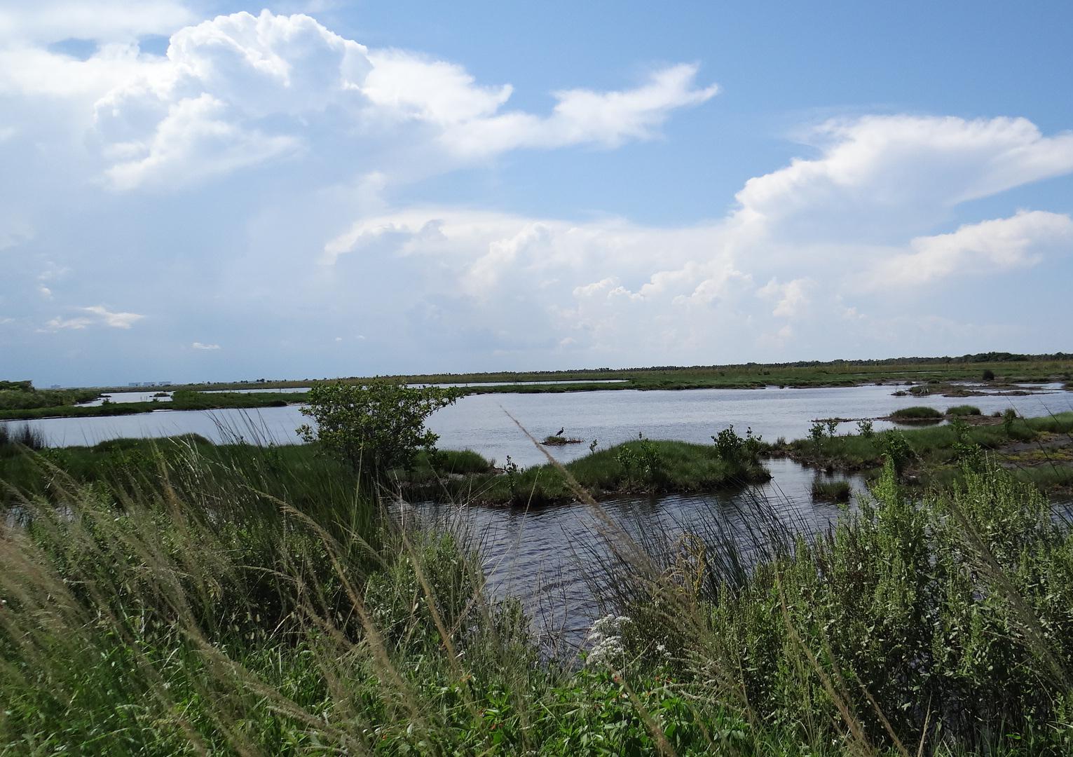 Canaveral National Seashore