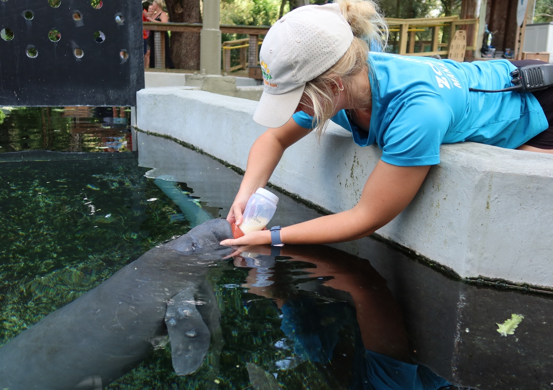 ZooTampa at Lowry Park