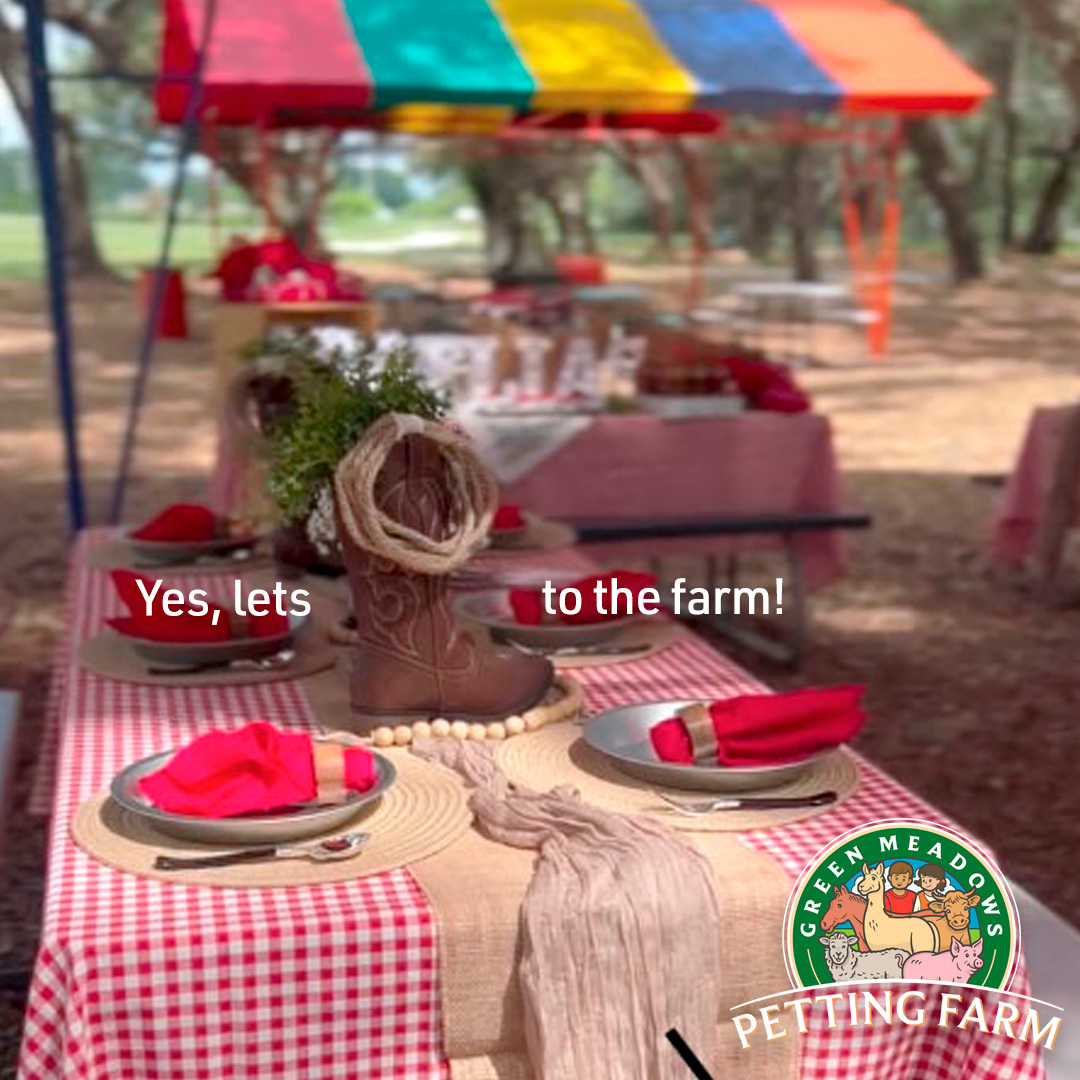 Green Meadows Petting Farm