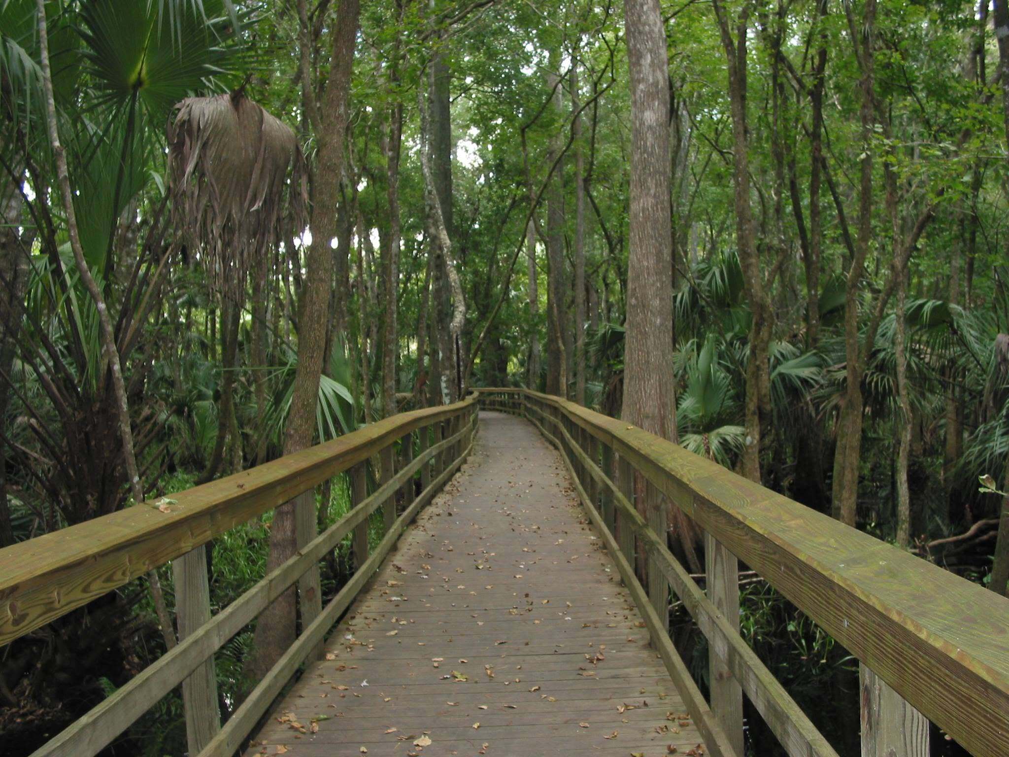 Wekiwa Springs State Park -Camping and State Park in Apopka, FL