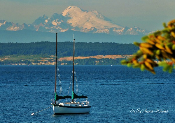 Photography by JoAnna Weeks