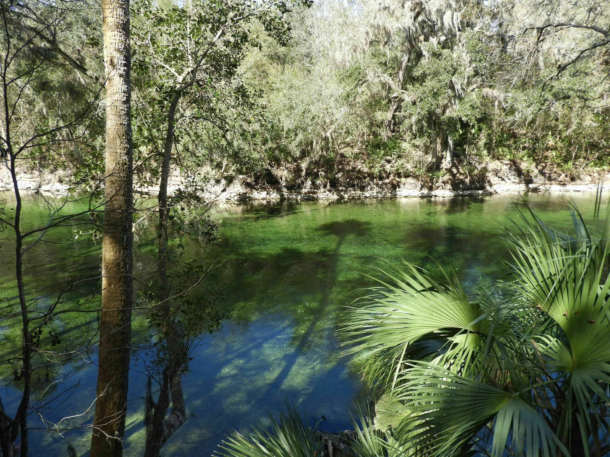 Blue Spring State Park