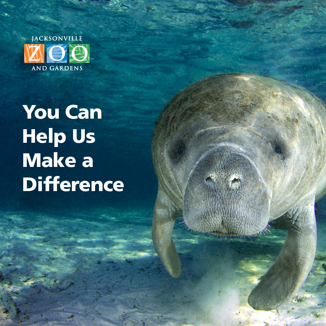 Jacksonville Zoo and Gardens