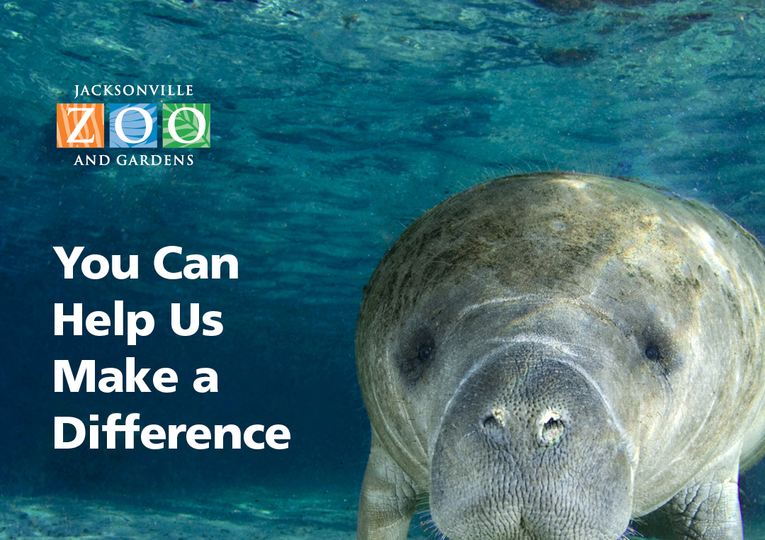 Jacksonville Zoo and Gardens