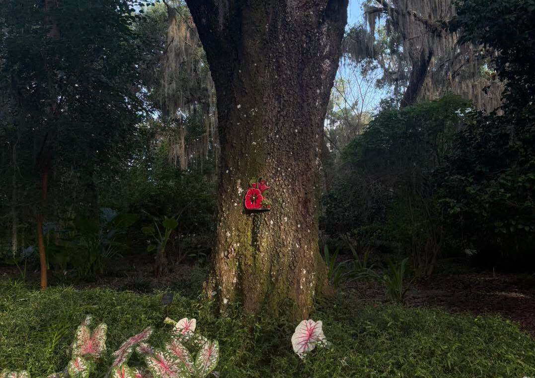 Harry P Leu Gardens - Botanical gardens in Orlando, Florida