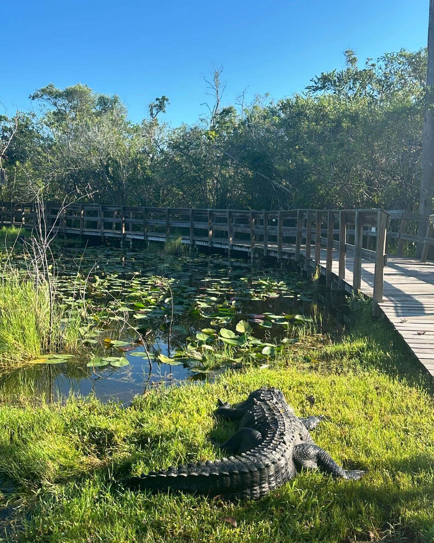 Everglades Safari Park