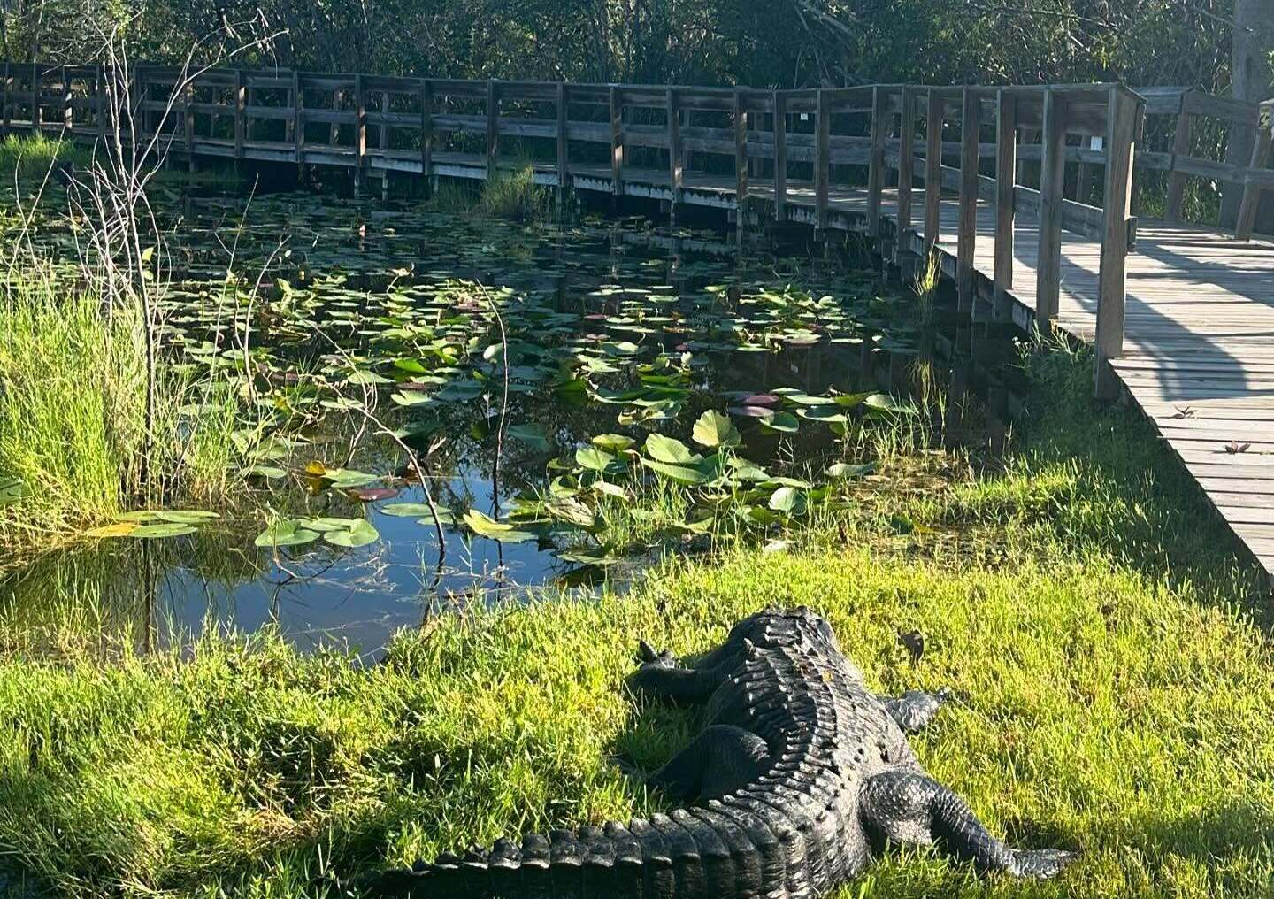 Everglades Safari Park