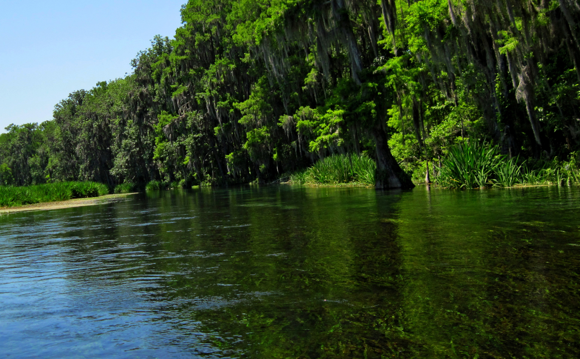 Ichetucknee Springs State Park