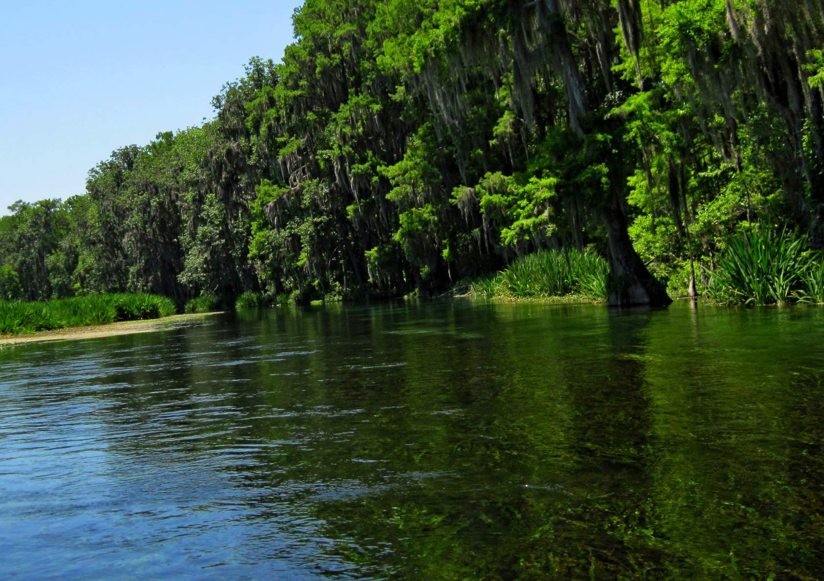Ichetucknee Springs State Park