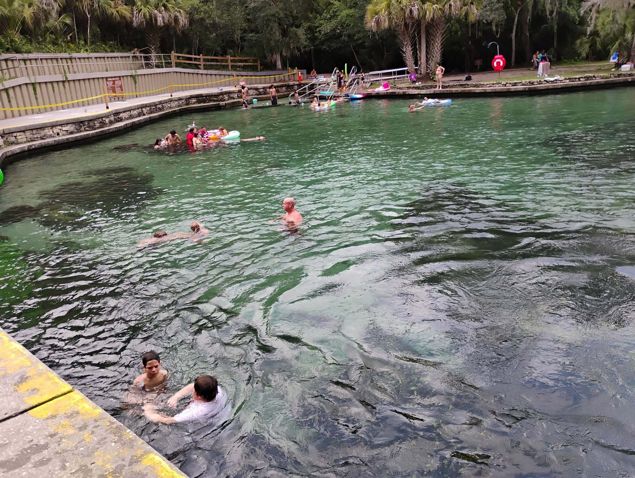 Wekiwa Springs State Park -Camping and State Park in Apopka, FL