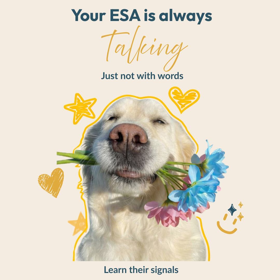My ESA Therapist - ESA Letter Evaluation - Florida