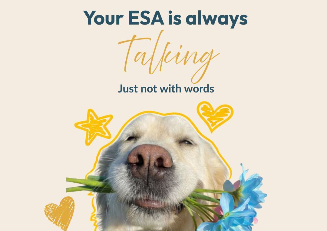 My ESA Therapist - ESA Letter Evaluation - Florida