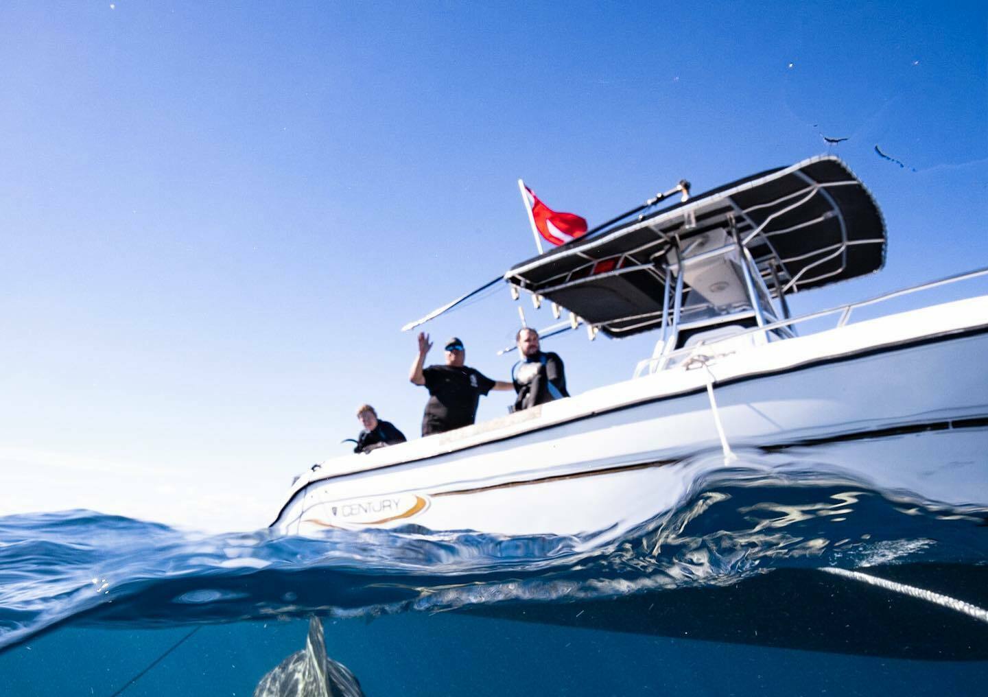Calypso Dive Charters